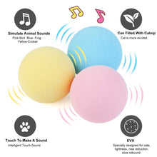 Load image into Gallery viewer, Smart Cat Toys Interactive Ball Catnip Cats Toy Playing Ball +