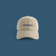 Load image into Gallery viewer, Lamb Wool Alphabet Plush Hat For Men And Women

