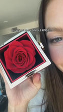 Load and play video in Gallery viewer, 1.mp4

