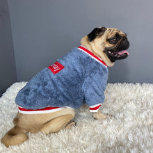 Load image into Gallery viewer, Chic Pet Sweater - Warm Cotton Pet Clothes +
