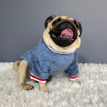 Load image into Gallery viewer, Chic Pet Sweater - Warm Cotton Pet Clothes +
