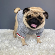 Load image into Gallery viewer, Chic Pet Sweater - Warm Cotton Pet Clothes +
