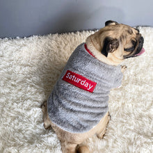 Load image into Gallery viewer, Chic Pet Sweater - Warm Cotton Pet Clothes +
