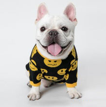 Load image into Gallery viewer, Dog and Cat Sweater - Pet&#39;s Clothing - MK9 Smile Sweater +
