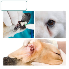Load image into Gallery viewer, Pet Teeth Cleaning Wipes Dog Teeth Cleaning +
